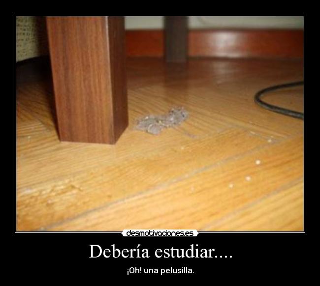 Debería estudiar.... -