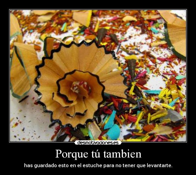 Porque tú tambien - 