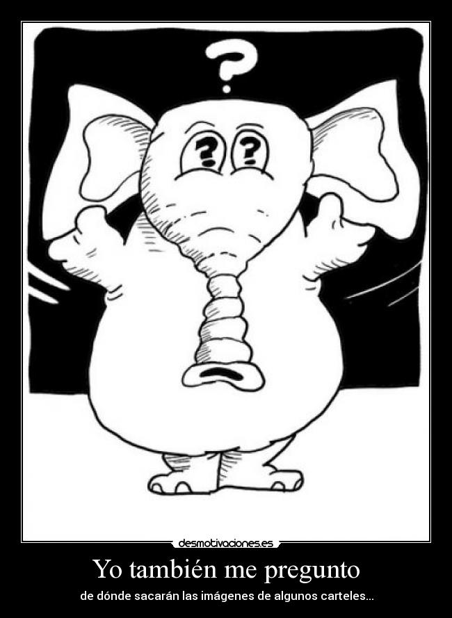 Yo también me pregunto - 