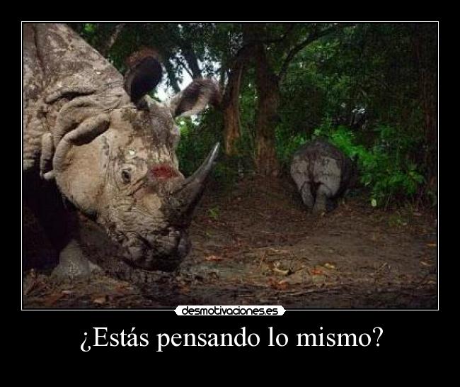 ¿Estás pensando lo mismo? -