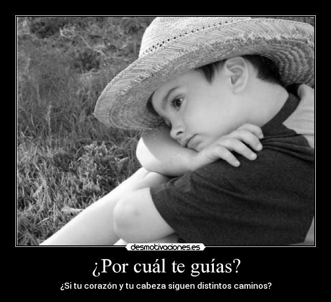 ¿Por cuál te guías? -