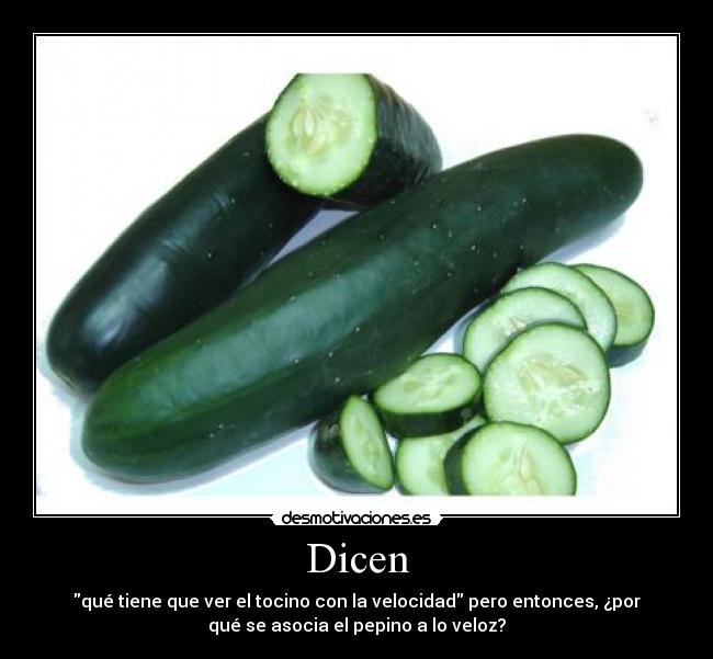 Dicen - qué tiene que ver el tocino con la velocidad pero entonces, ¿por
qué se asocia el pepino a lo veloz?
