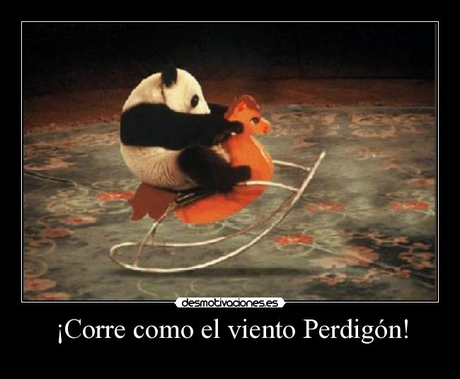 ¡Corre como el viento Perdigón! -