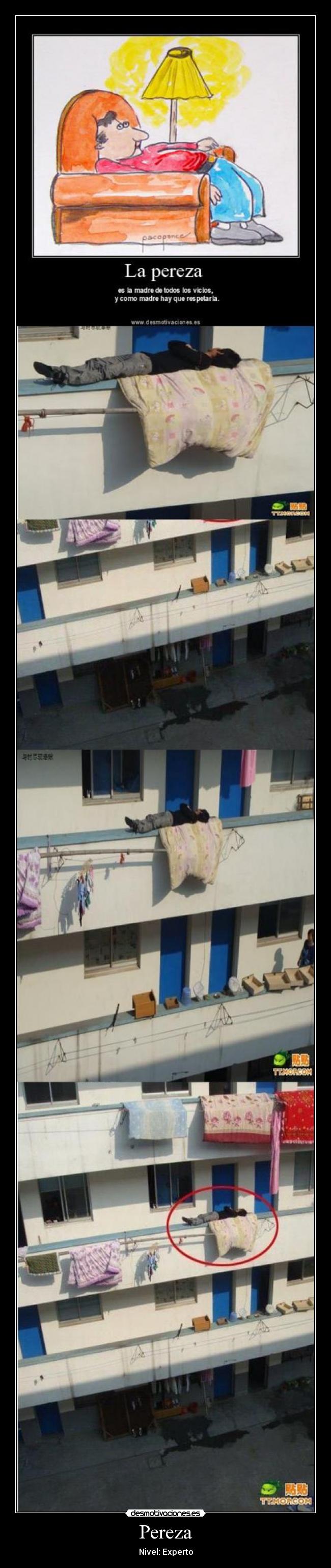 Pereza - Nivel: Experto