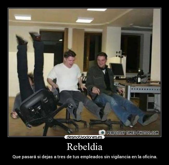 Rebeldia - Que pasará si dejas a tres de tus empleados sin vigilancia en la oficina.