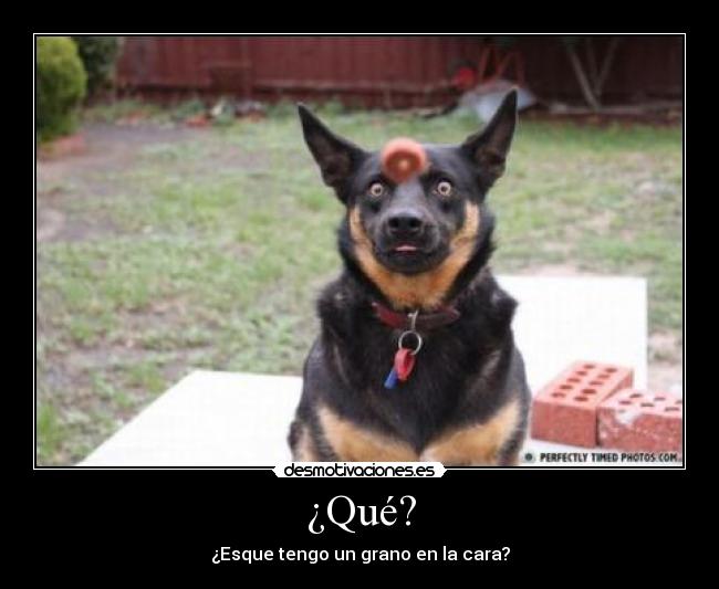 ¿Qué? - ¿Esque tengo un grano en la cara?