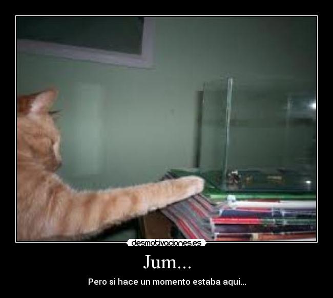 Jum... - Pero si hace un momento estaba aqui...