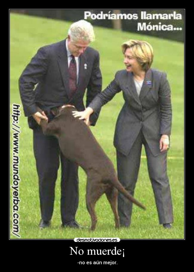 No muerde¡ - -no es aún mejor.