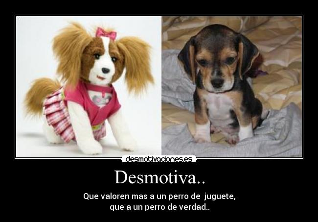 carteles perritos desmotivaciones