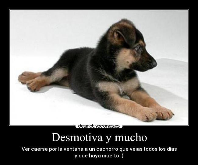 Desmotiva y mucho - Ver caerse por la ventana a un cachorro que veias todos los días
y que haya muerto :(