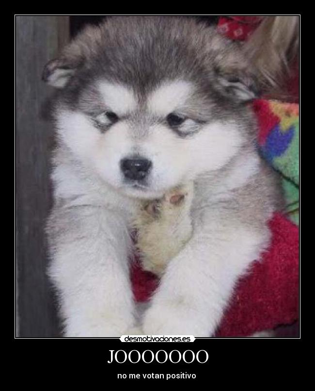 JOOOOOOO - no me votan positivo 