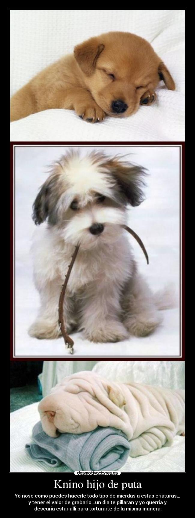 Knino hijo de puta - 