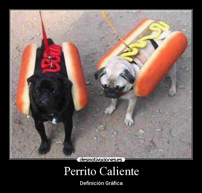 Perrito Caliente - Definición Gráfica