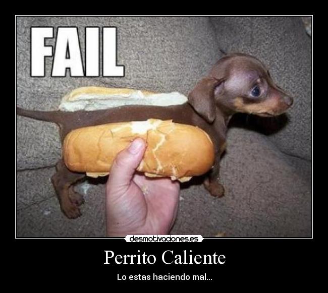 Perrito Caliente - 
