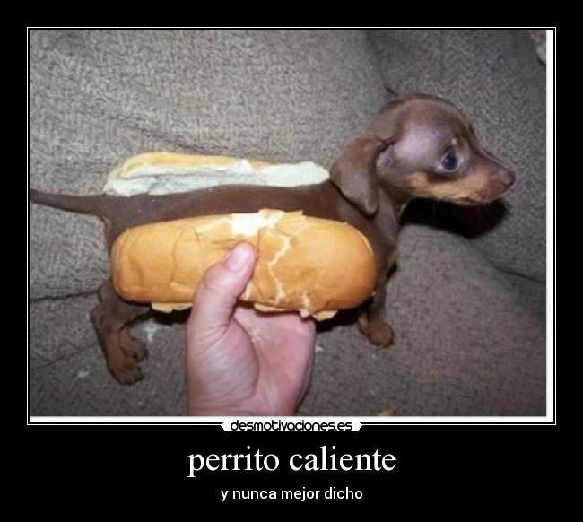 perrito caliente - 
