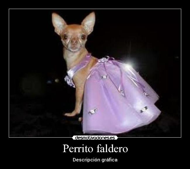 Perrito faldero - 