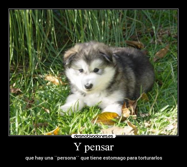Y pensar - 