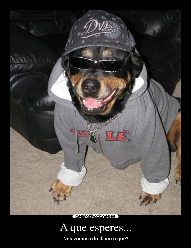 A que esperes... -