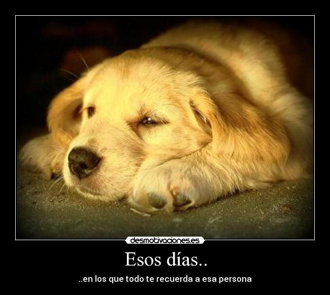 Esos días.. - ..en los que todo te recuerda a esa persona