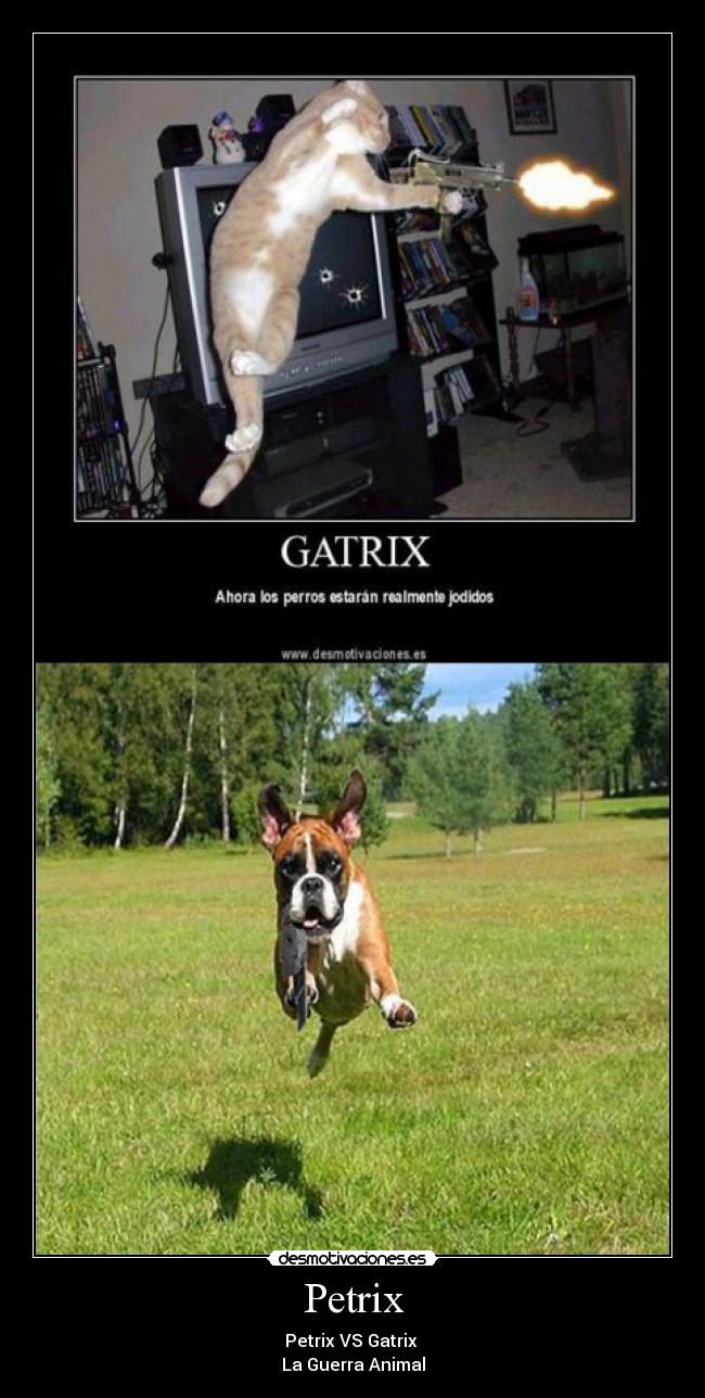 Petrix - Petrix VS Gatrix 
La Guerra Animal