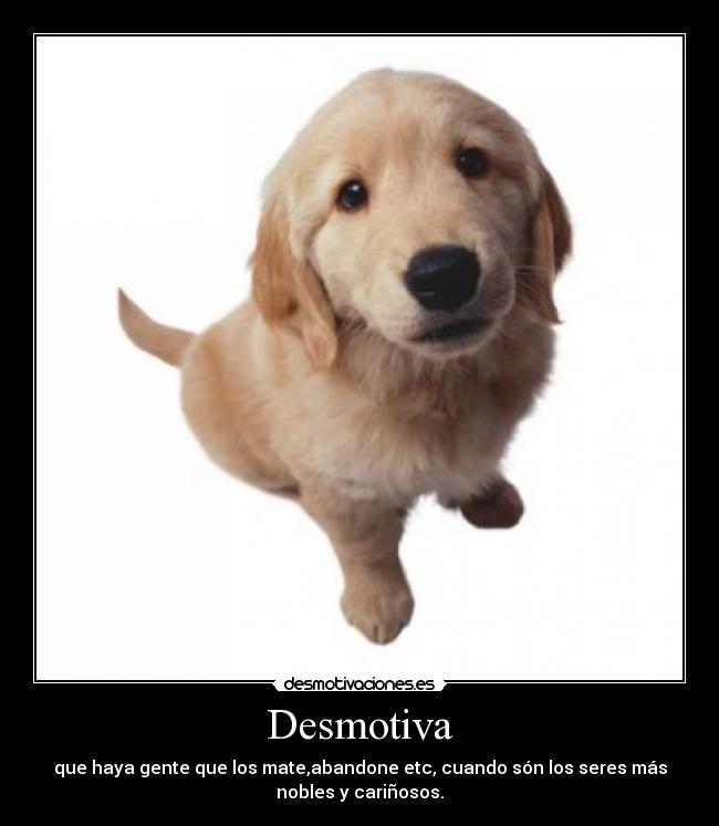 Desmotiva - 