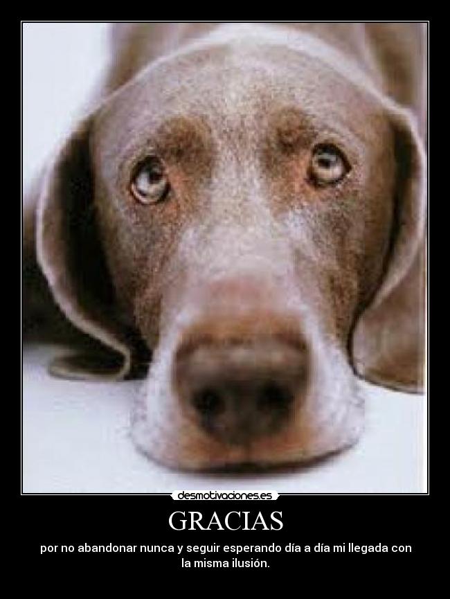 GRACIAS - 