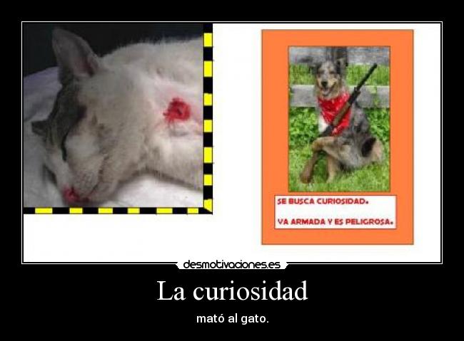 La curiosidad - mató al gato.