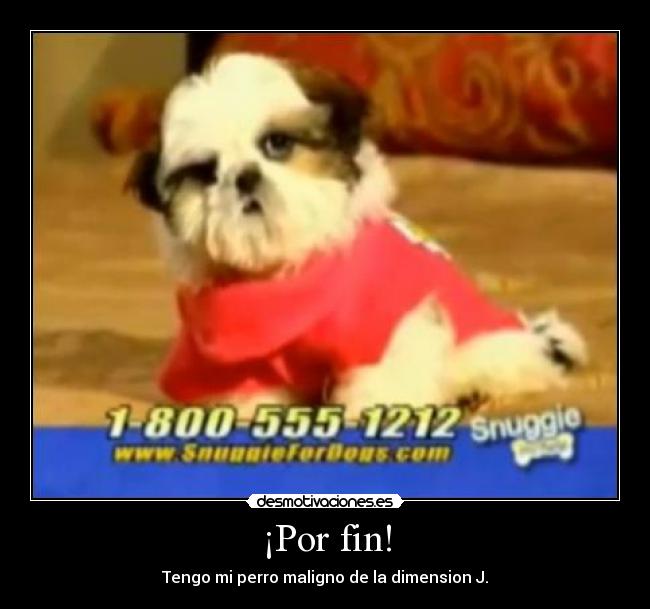 ¡Por fin! - Tengo mi perro maligno de la dimension J.