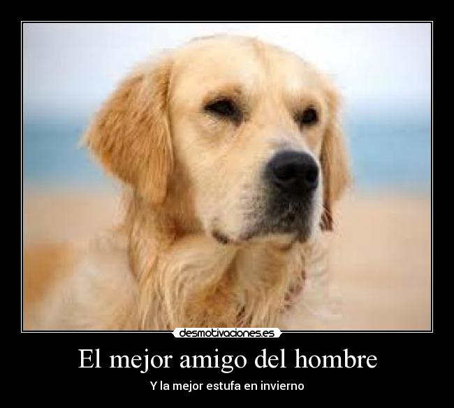 El mejor amigo del hombre -