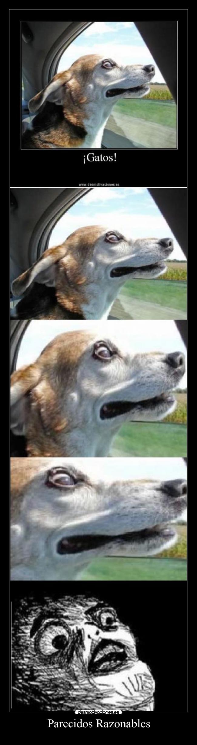 Parecidos Razonables -