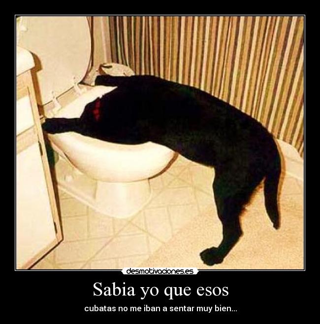 Sabia yo que esos -