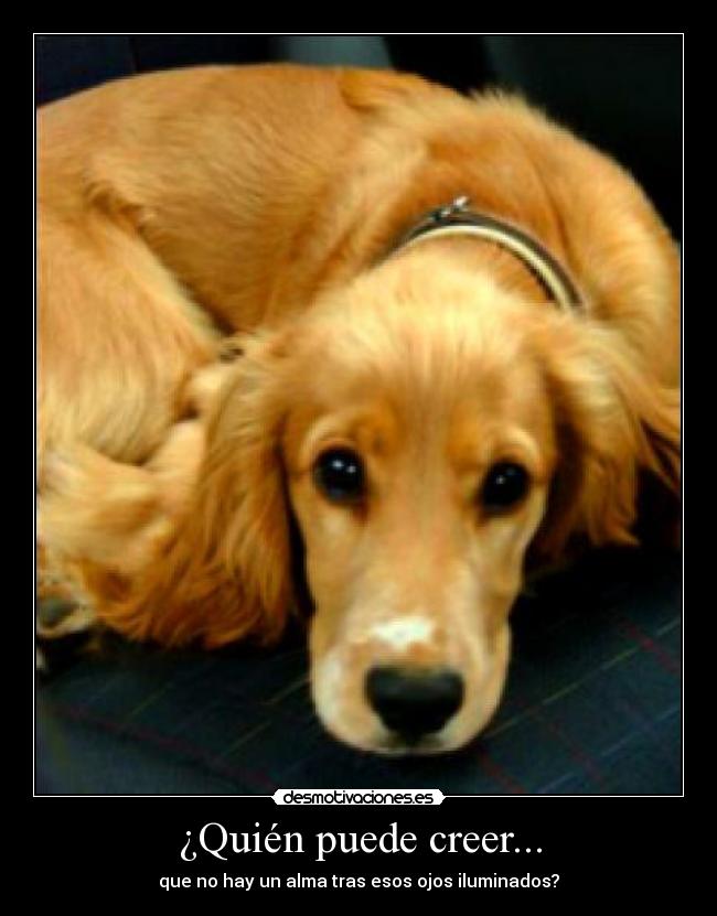 ¿Quién puede creer... - que no hay un alma tras esos ojos iluminados?