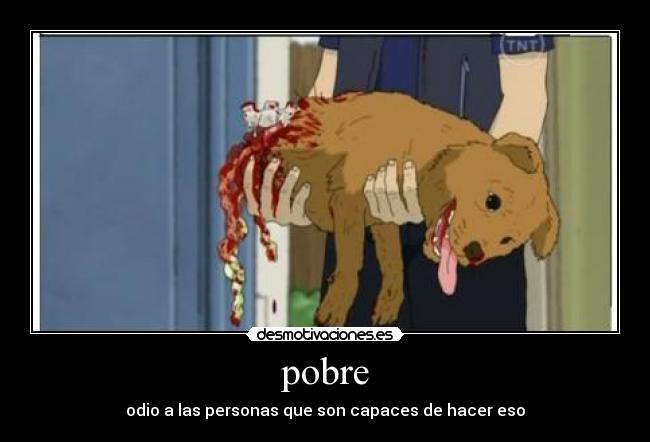 pobre - 