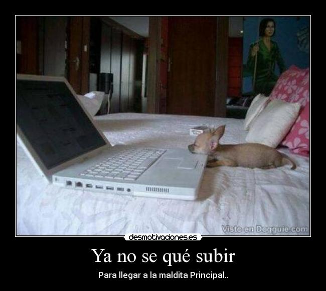 carteles se que subir diosla desmotivaciones