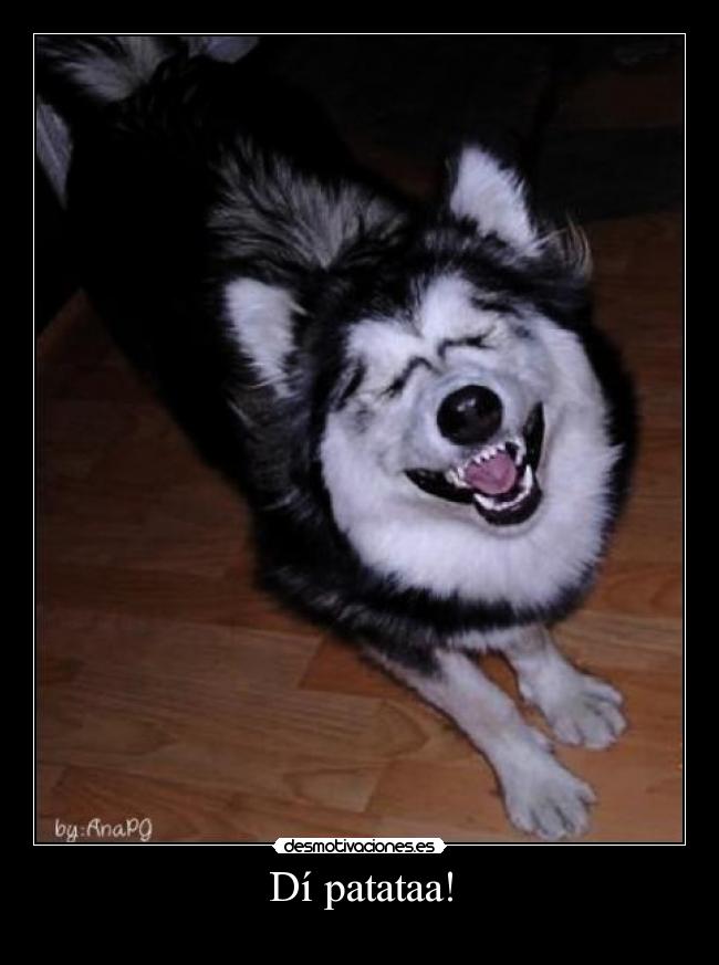 Dí patataa! - 