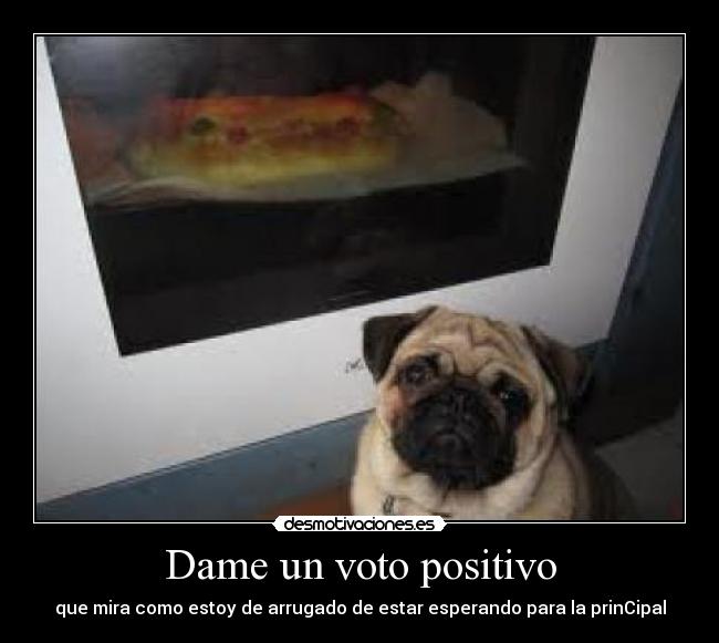 Dame un voto positivo - que mira como estoy de arrugado de estar esperando para la prinCipal
