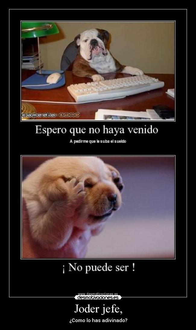 Joder jefe, - 