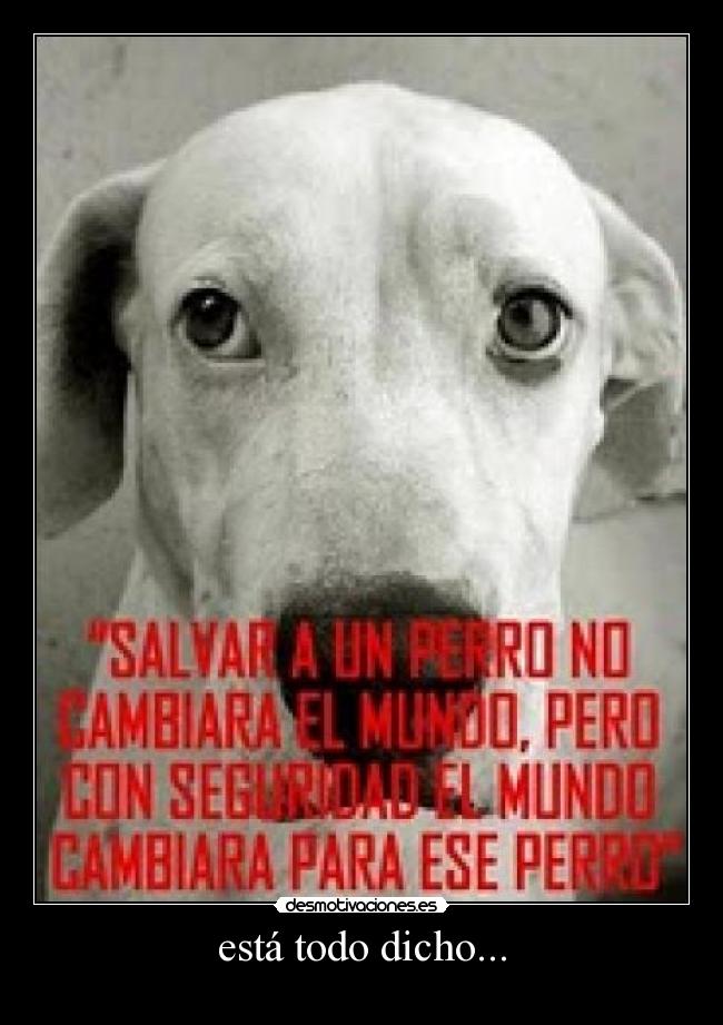 está todo dicho... -