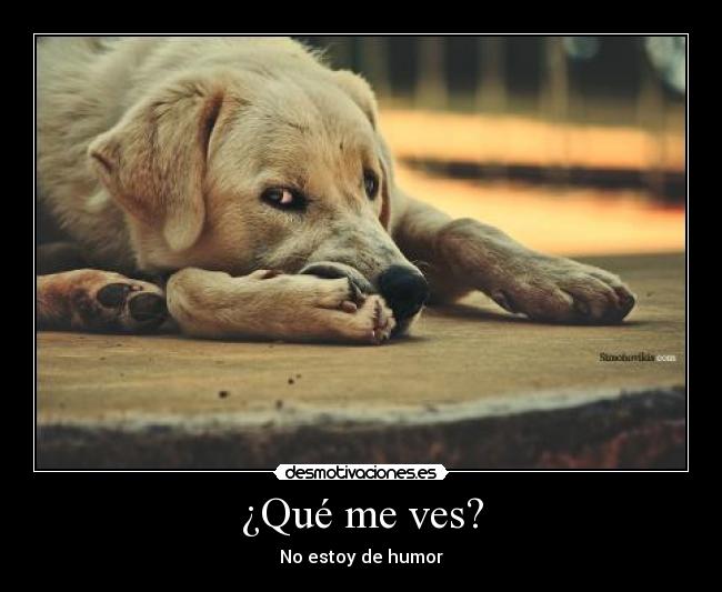 ¿Qué me ves? - No estoy de humor
