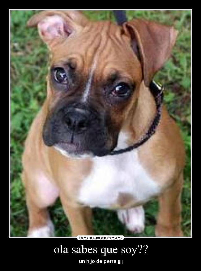 ola sabes que soy?? -