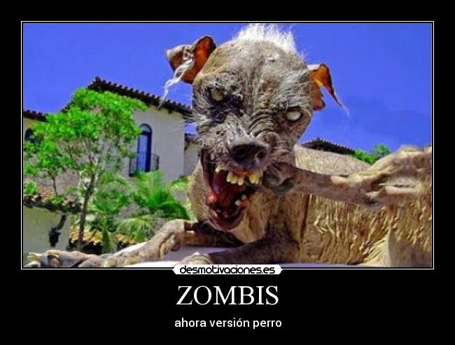 ZOMBIS - ahora versión perro