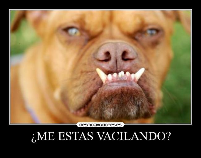 ¿ME ESTAS VACILANDO? - 
