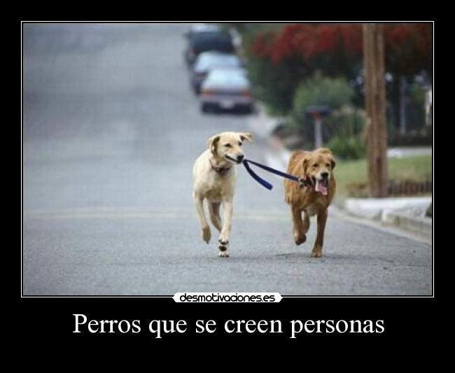Perros que se creen personas - 