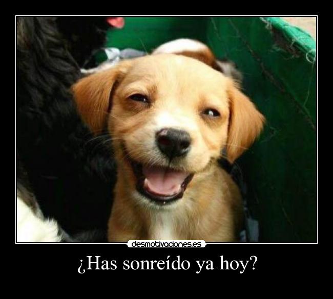 carteles sonreido hoy desmotivaciones