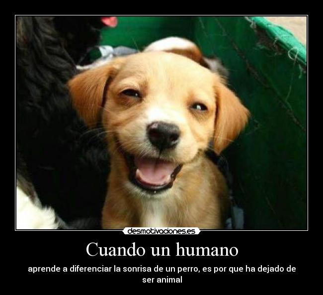 Cuando un humano -