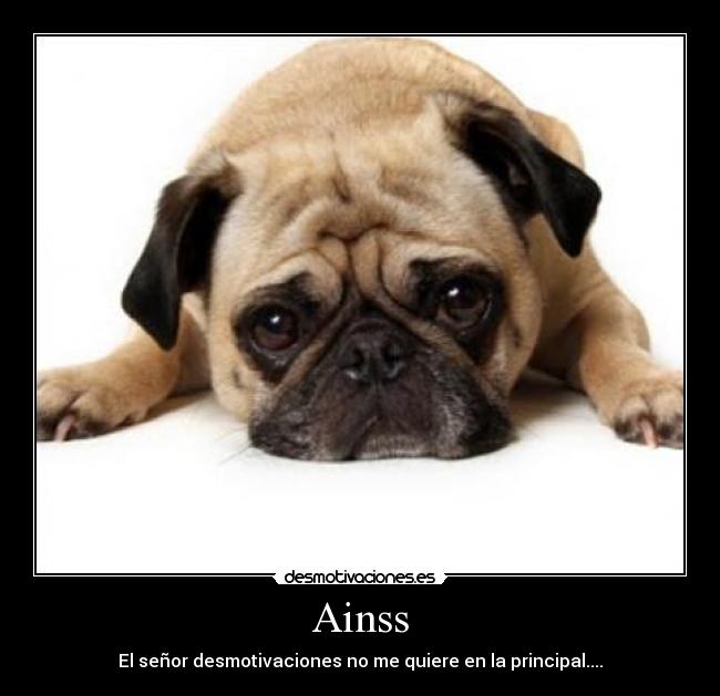 Ainss -