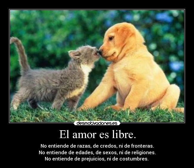 El amor es libre. - 