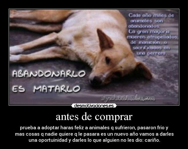 antes de comprar - 