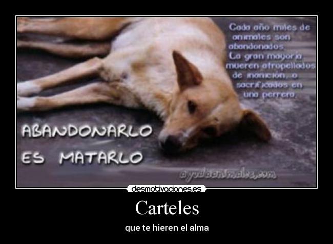 Carteles - que te hieren el alma