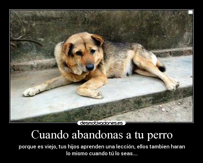 carteles celees desmotivaciones